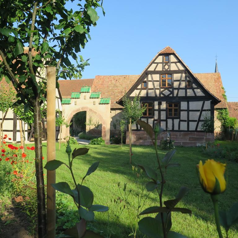 Gite D'Audrey Et Jean Uttenheim Exterior photo